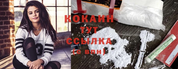 мяу мяу мука Елизово