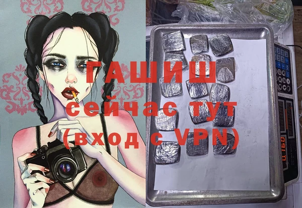 мяу мяу мука Елизово